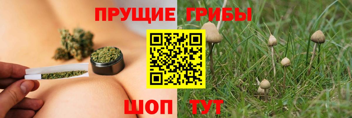 Псилоцибиновые грибы мухоморы Санкт-Петербург